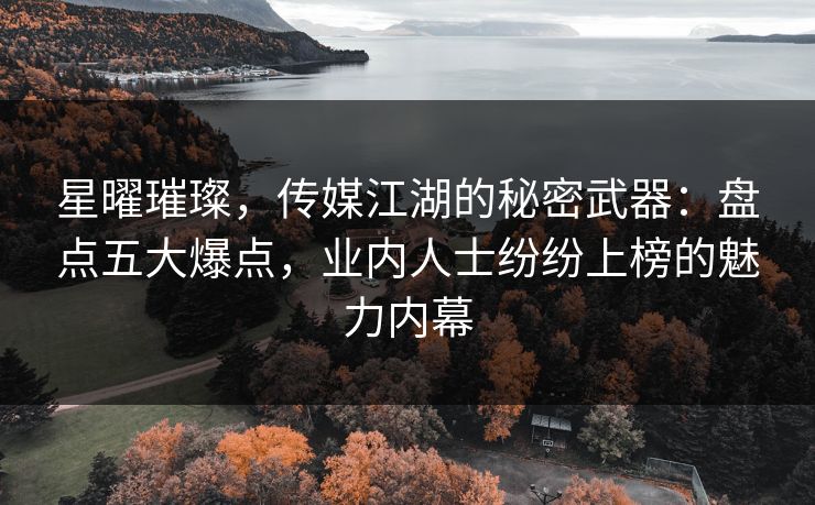 星曜璀璨，传媒江湖的秘密武器：盘点五大爆点，业内人士纷纷上榜的魅力内幕