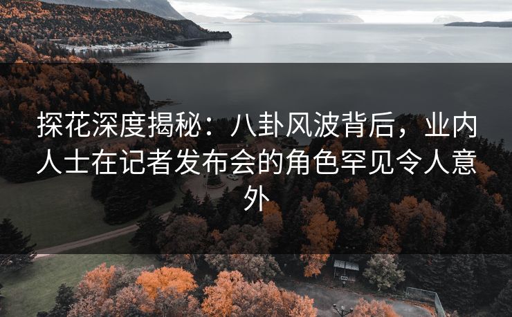 探花深度揭秘：八卦风波背后，业内人士在记者发布会的角色罕见令人意外
